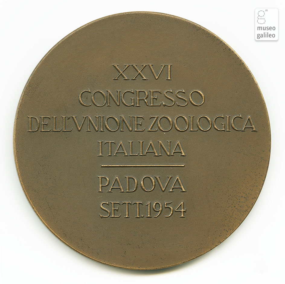 Congresso dell'Unione Zoologica Italiana (Padova, 1954) - rovescio