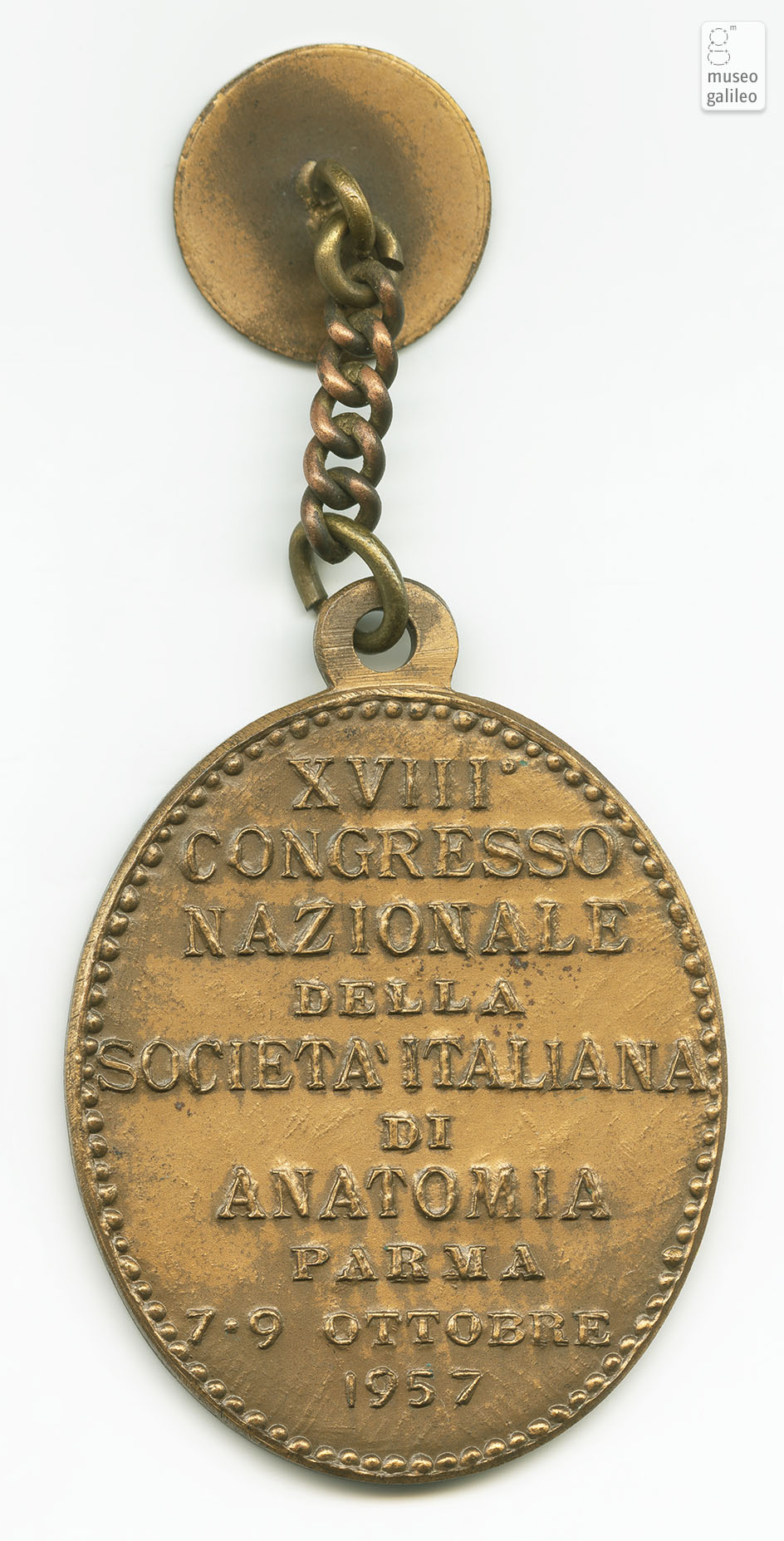 Congresso Nazionale della Società Italiana di Anatomia (Parma, 1957) - rovescio