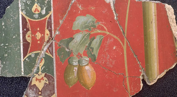 Fragments of painted decoration