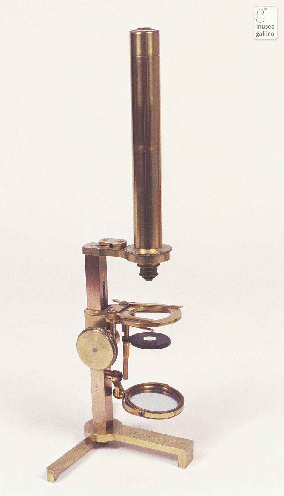 Microscopio composto