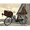 La bicicletta del cardalana