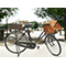 La bicicletta del postino