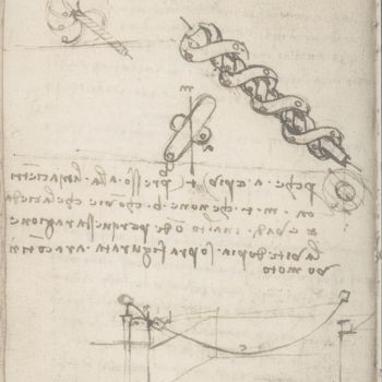 Studi sulla vite d’Archimede